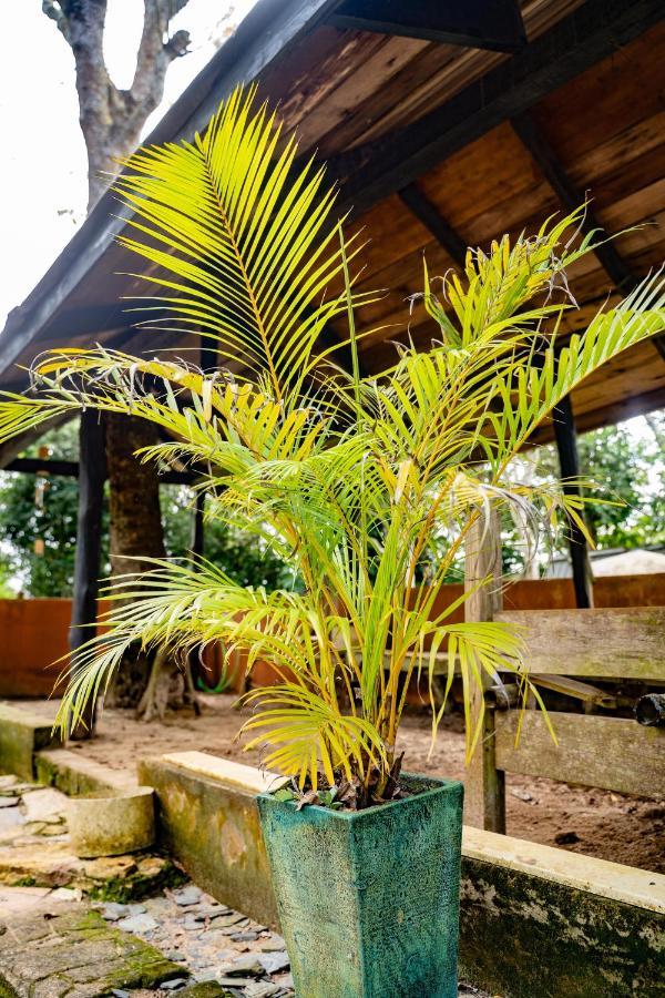 Nature'S Cradle Obosomase Ngoại thất bức ảnh